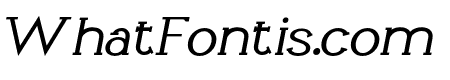 Li?vin Italic