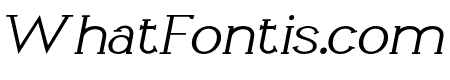 Li?vin Light Italic