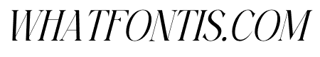 MAGFIRE HYENA Italic