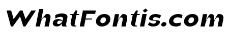 Manisans-BlackItalic