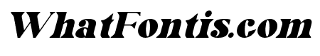Mottelnight Italic