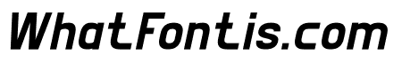 NEUTRAL Bold Italic