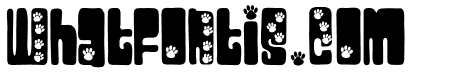 PNPlatonicPaws