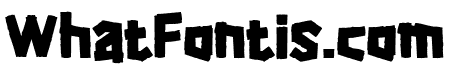 RAINNESS Regular