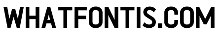 Shelution Bold