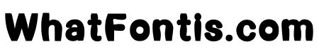 Styliicraft Bold