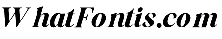 The Billion Butterfly Italic