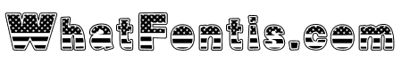 USA Day By 18CC Black
