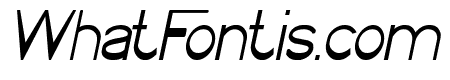 WINNER Bold Italic