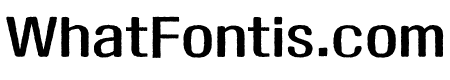 ZW JijanggyeongeonhaeOTF Bold