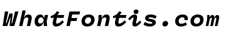 Panel Sans Mono Black Italic
