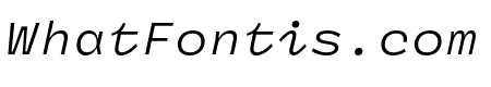 Panel Sans Mono Italic