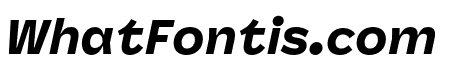 Panel Sans Black Italic
