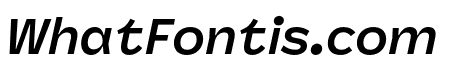 Panel Sans Bold Italic