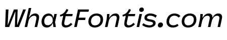 Panel Sans Medium Italic