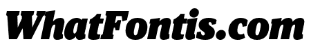Viroqua Black Italic