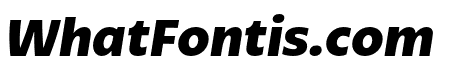 Bruna Bold Italic