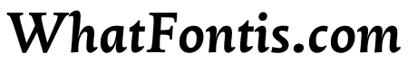 Oculi Text Bold Italic