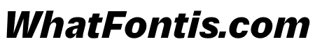Parabolica Text Black Oblique