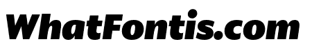 Anona Black Italic