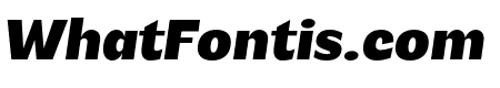 Venice Blvd Black Italic