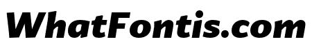 Guyot Sans Black Italic