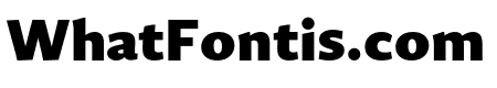 Guyot Sans Black