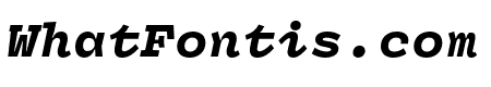 Panel Mono Black Italic