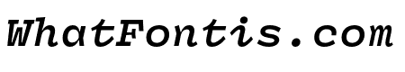 Panel Mono Bold Italic