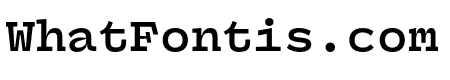 Panel Mono Bold