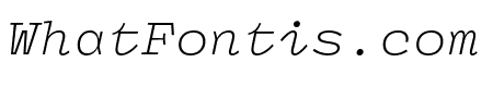 Panel Mono Light Italic