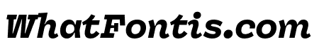 Panel Black Italic