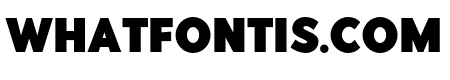 PointPanther Bold
