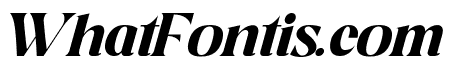Aesthetic Moment  Italic Personal Used