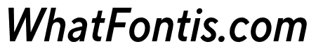 TT Norms Pro Condensed DemiBold Italic