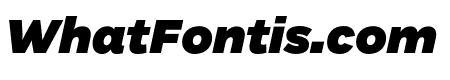 DiGrotesk BlackItalic