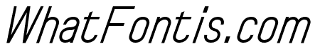 TorGrotesk ThinItalic