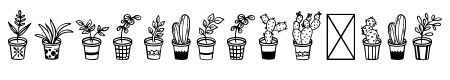 Home Plants