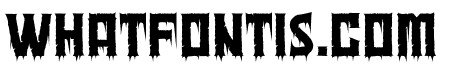 Macabre Night