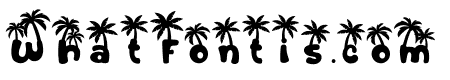 Sandy Toes Palm