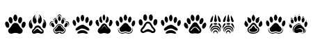 cat paws Regular