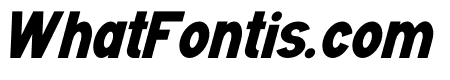 VENTURAS Bold Italic