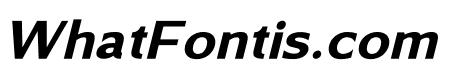 Masters Quest Italic