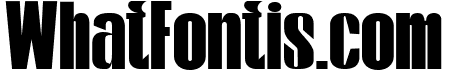 Kontes Compressed Bold