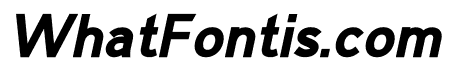Rdn Sans Bold Italic