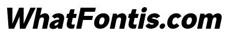 Mesveda Black Italic