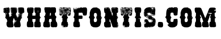 Western WTL