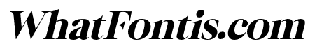 Bermula Black Italic