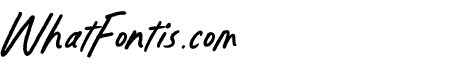 Explorebrush