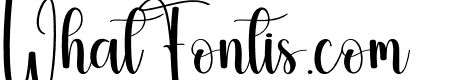 Boho Vintage